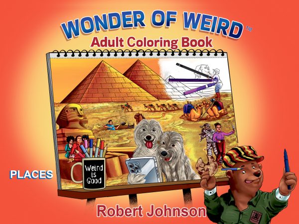 Places Adult Coloring Book